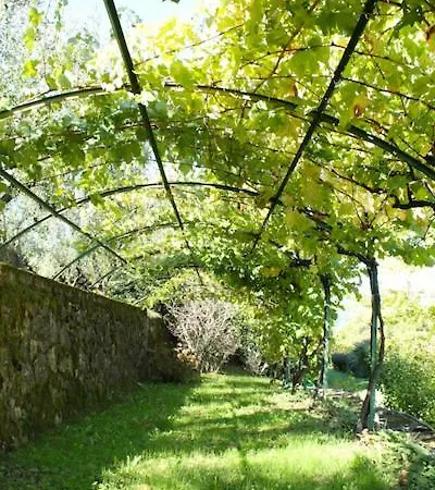 Parole D'oro Villa Capannori